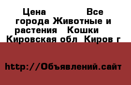 Zolton › Цена ­ 30 000 - Все города Животные и растения » Кошки   . Кировская обл.,Киров г.